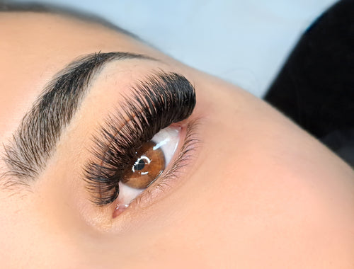 Classic, Hybrid and Pre-made Volume Lash Course.